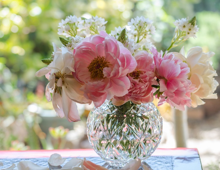Pink and White Peonies in a Crystal Vase