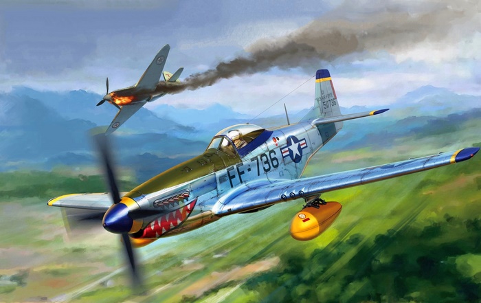 North American P-51 Mustang in aerial combat