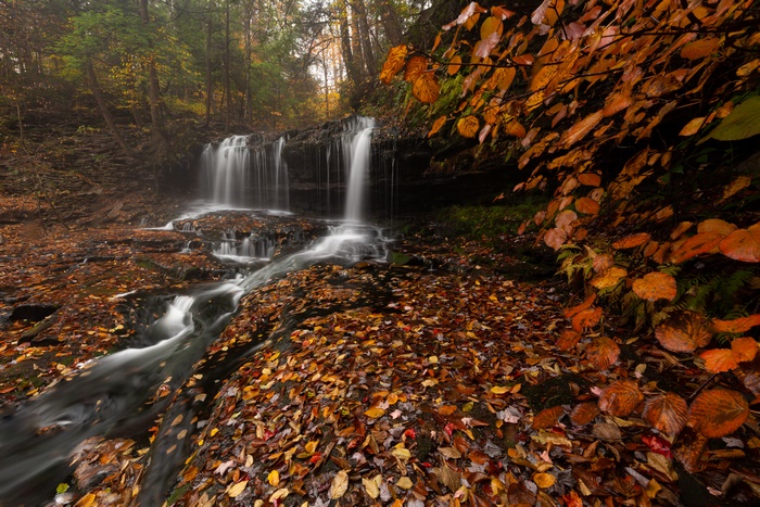 Waterfall in Autumn Forest with Fallen Leaves