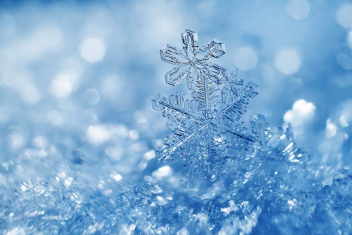Macro shot of a delicate snowflake on ice