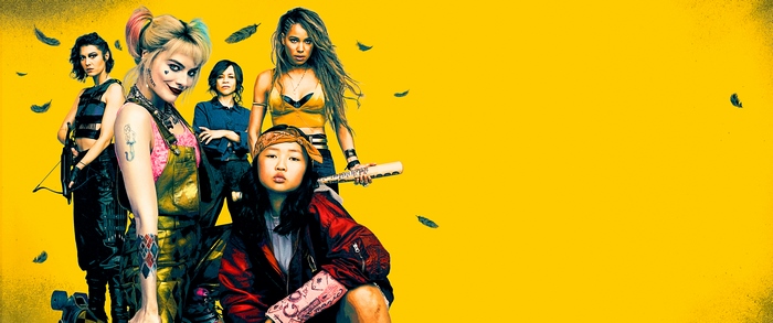 Birds of Prey: Harley Quinn, Huntress, Black Canary, Cassandra Cain, Renee Montoya