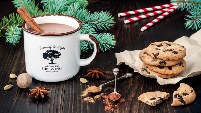 Hot Chocolate with Cinnamon and Chocolate Chip Cookies