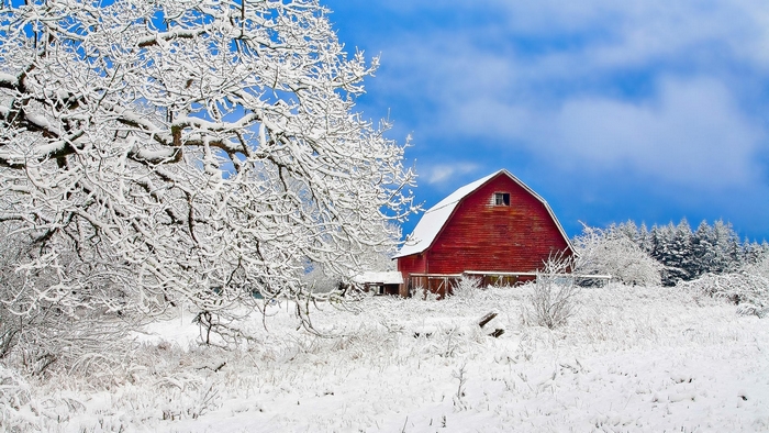 Red barn in a snowy landscape with trees