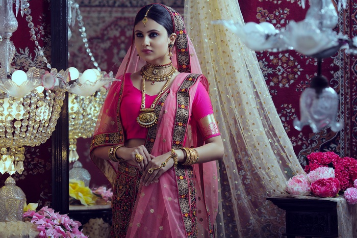 Elegant Indian Model in Traditional Jewelry and Sari