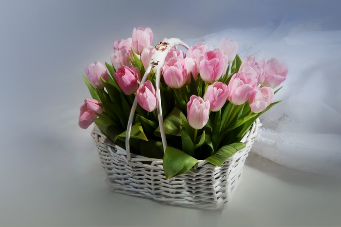 Pink Tulips in a Basket with Rings