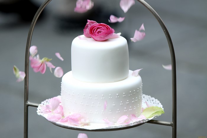 Two-tiered white cake with pink flowers and petals