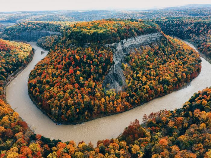 Autumn foliage along a river in Letchworth State Park