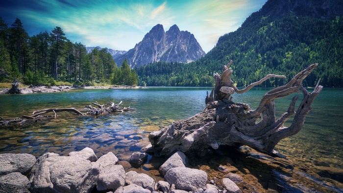 Lake with Mountains and Deadwood