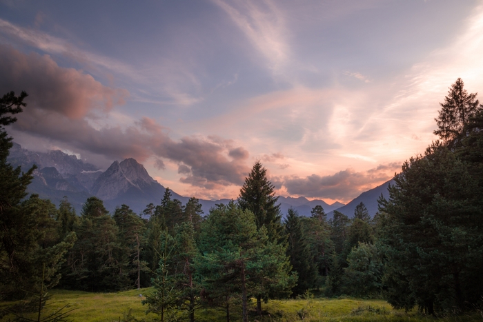Sunset over mountains and forest