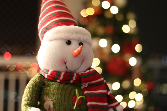 Photography Snowman Toy Christmas 4K
