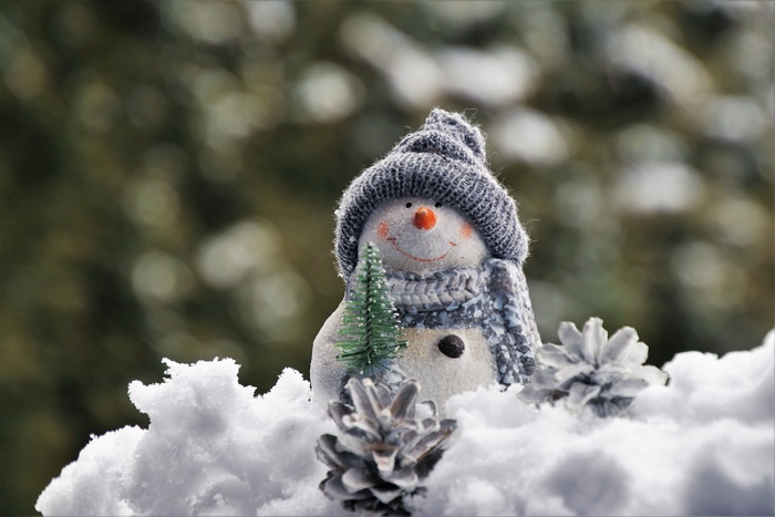 Photography Snowman Toy Pine Cone Christmas 4K