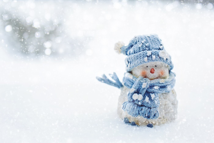Photography Snowman 4K