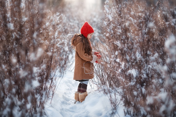 Girl in red hat and brown coat in snowy bushes