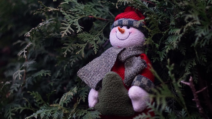 A plush snowman toy nestled in evergreen branches