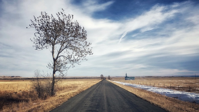Road through a field with a tree and church