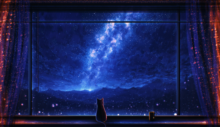 Cat watching the starry sky through a rainy window
