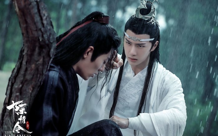 Lan Wangji and Wei Wuxian from The Untamed
