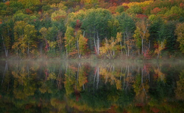 Autumn forest reflected in a calm lake