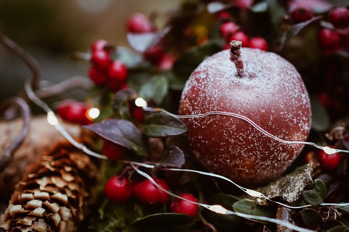 Christmas apple with berries and pinecone