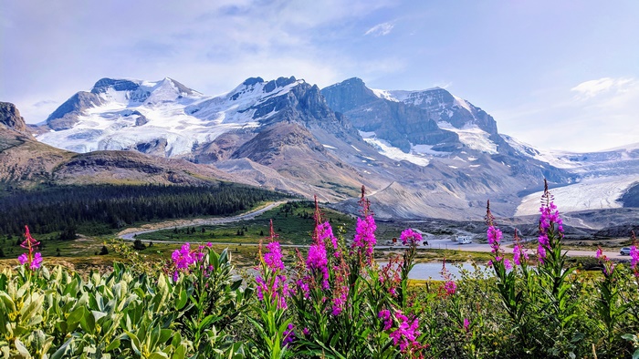 Mountain Landscape with Snow and Flowers