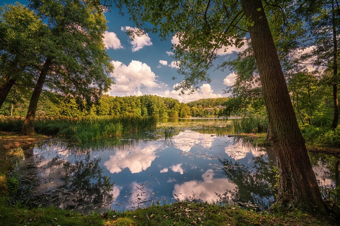 Lake with trees and clouds reflection