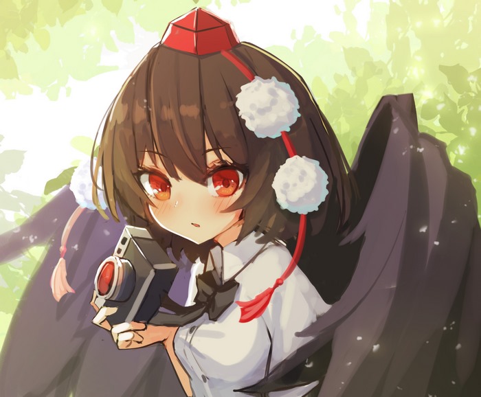 Aya Shameimaru from Touhou Project holding a camera