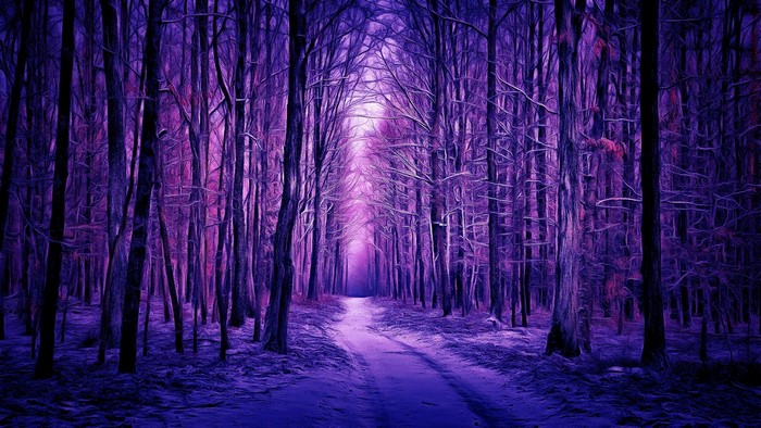 Purple winter forest path with snow