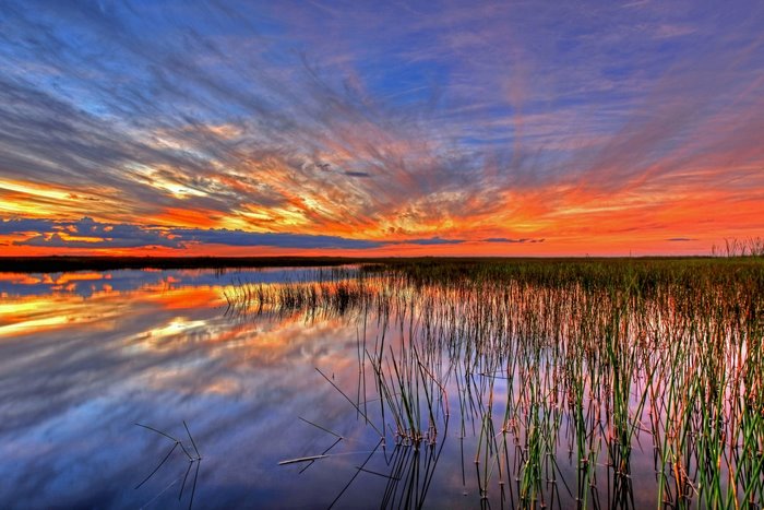 Colorful Sunset Sky Reflected in a Marsh