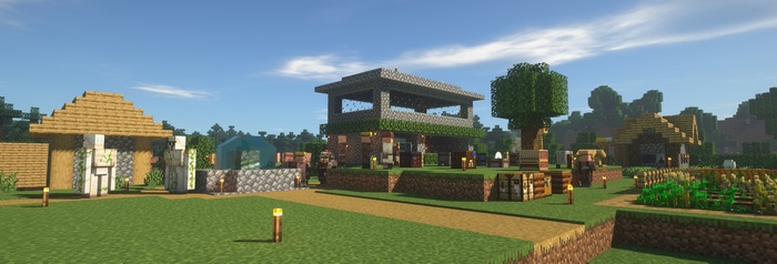 Minecraft Village with Iron Golems and Houses