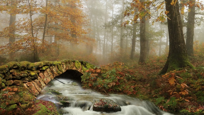 Stone bridge over a river in a foggy autumn forest