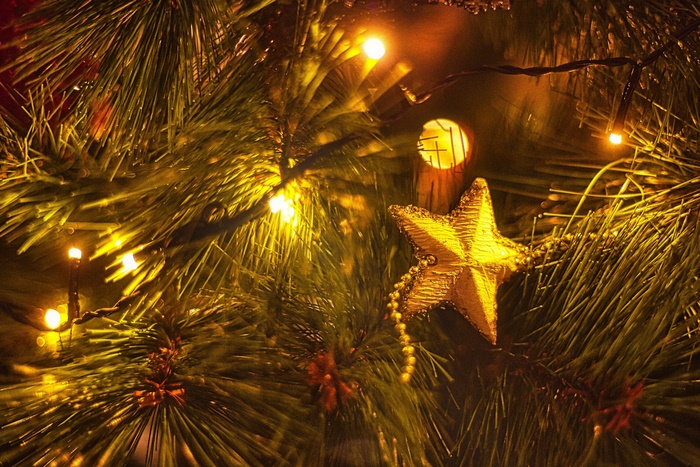Christmas tree with star ornament and lights