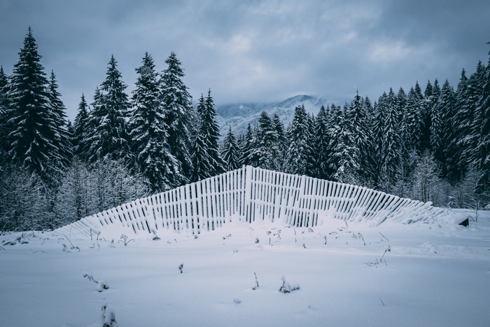 Photography Winter 4K Snow Fir Tree Fence