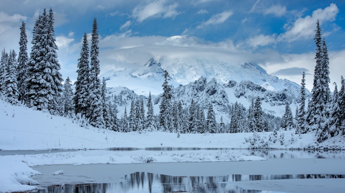 Mount Rainier in Winter Landscape