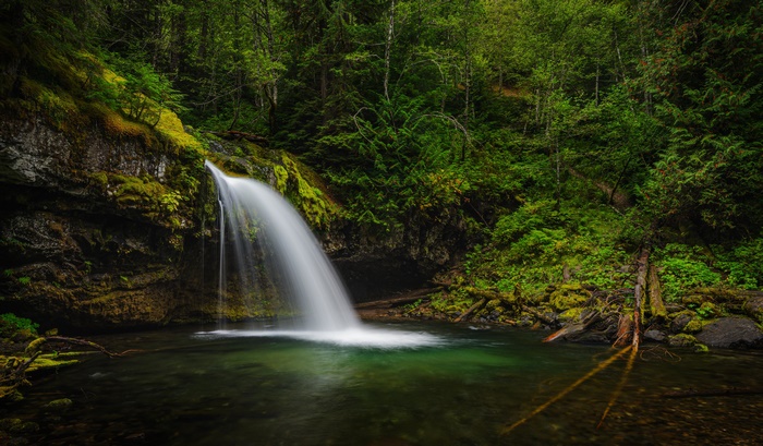 Waterfall in a Green Forest