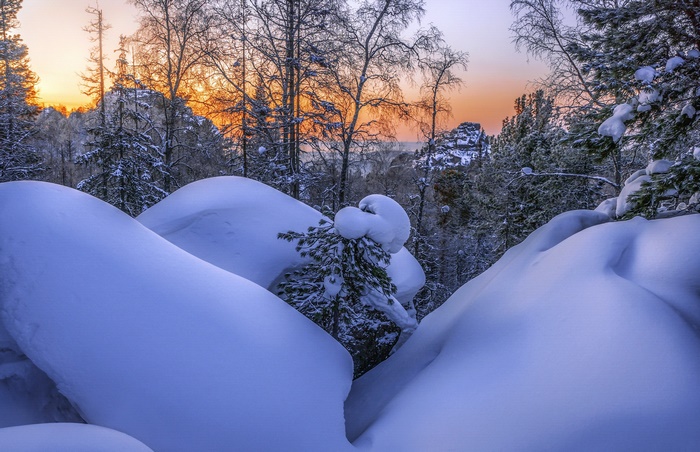 Snow covered rocks and trees at sunset