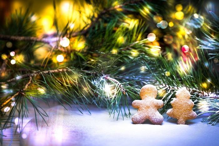 Christmas gingerbread cookies with pine branches and lights