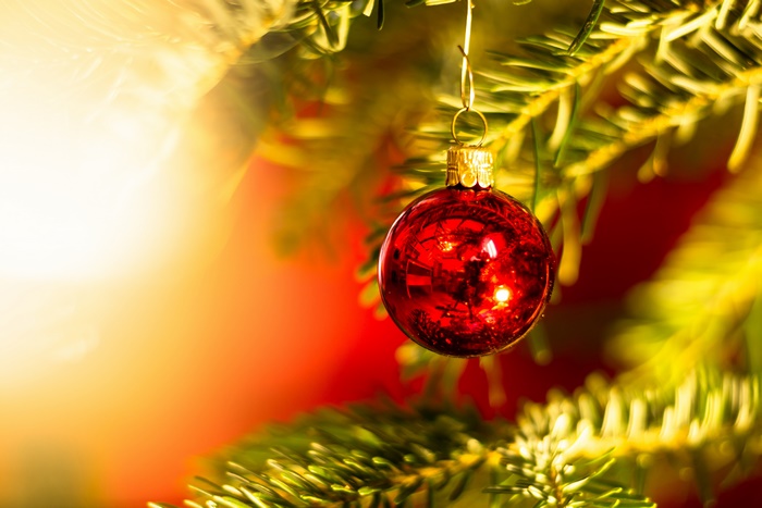 Red Christmas Ornament on Tree