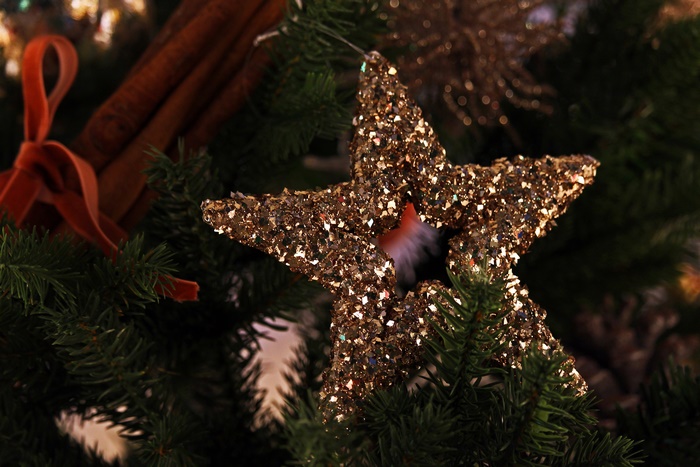 Glittering Star Ornament on Christmas Tree