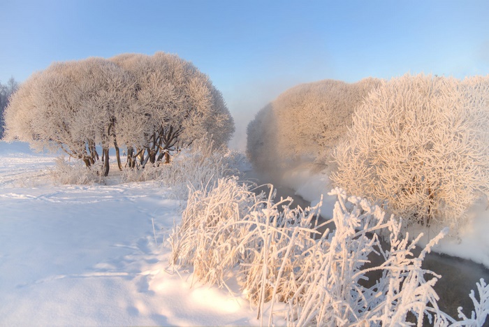 Winter scene with frosted trees and a steaming river