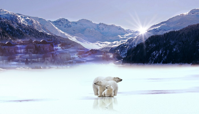 Polar bears on a frozen lake with mountains