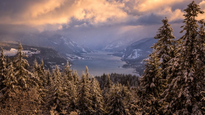 Winter Landscape with Snow-Covered Trees and Mountains