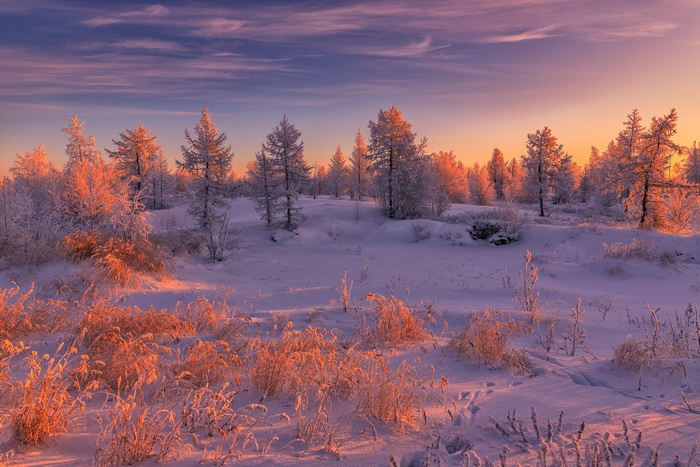Winter sunset over a snowy landscape with frosted trees