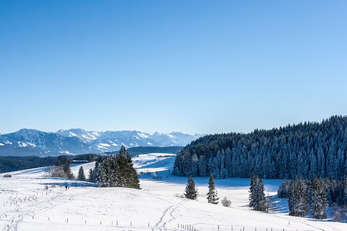 Winter Landscape with Snow-Covered Trees and Mountains