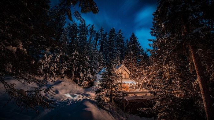 Winter cabin in snowy forest at night with Christmas lights