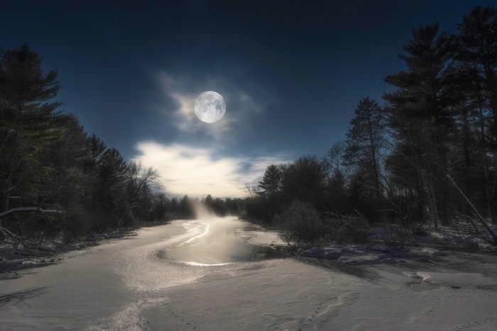 Moonlit Winter River with Pine Trees