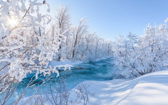 Winter river with frost-covered trees and sunbeams