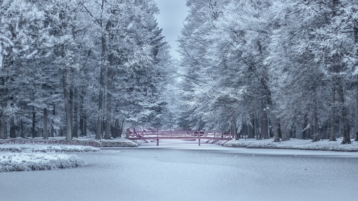 Winter park with a frozen pond and a red bridge