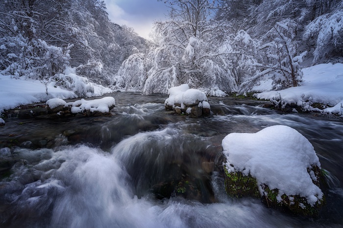 Winter river flowing through a snow-covered forest