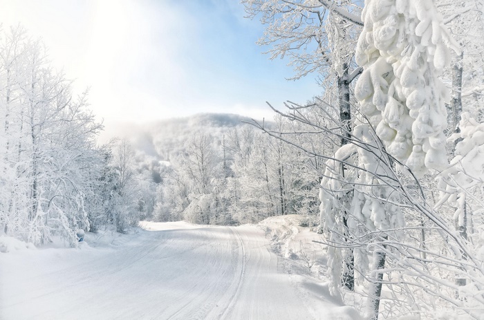 Snowy road through a frosted forest in winter