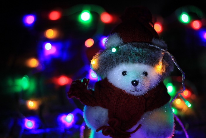 Teddy bear with Christmas lights